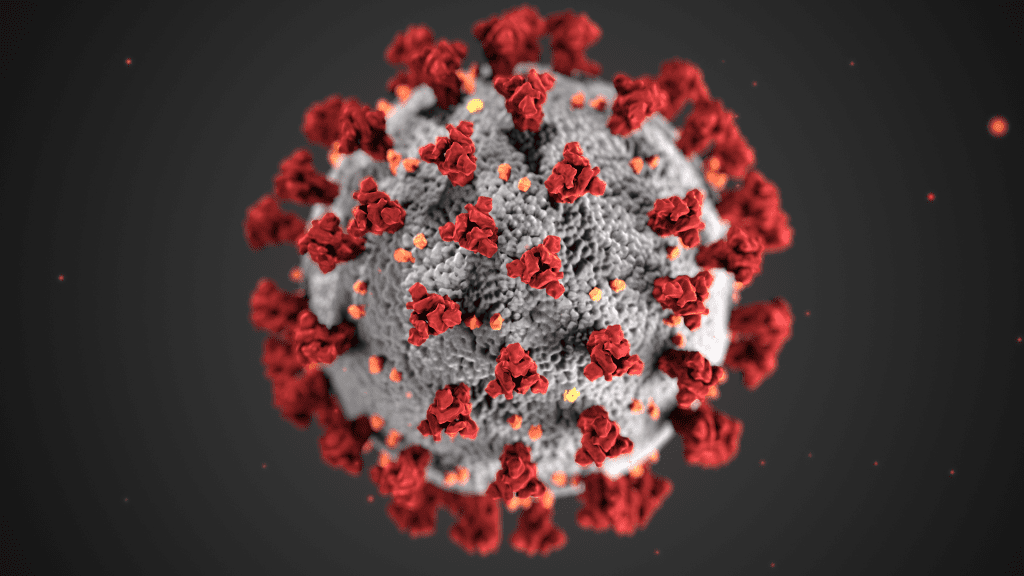 ultrastructural morphology exhibited by coronaviruses